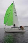 Billede 080.jpg