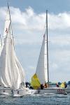 DSC_0333.JPG
