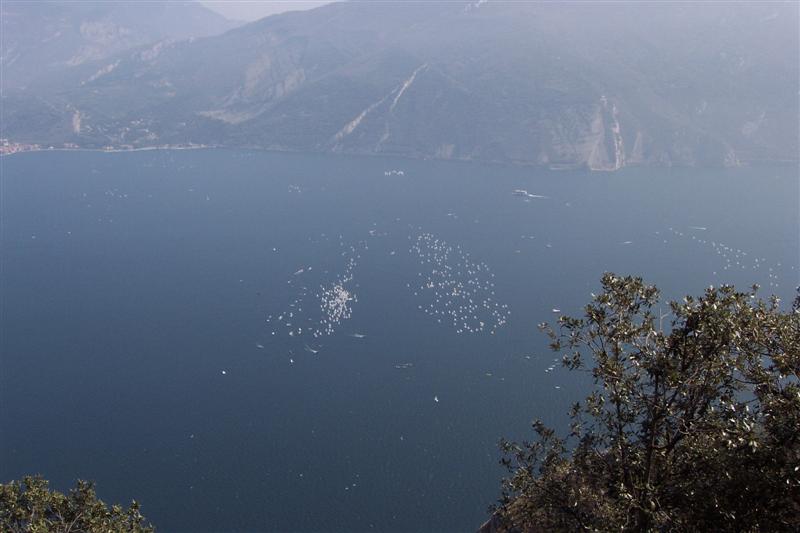 Vis 20070406-131639.jpg i fuld st�rrelse