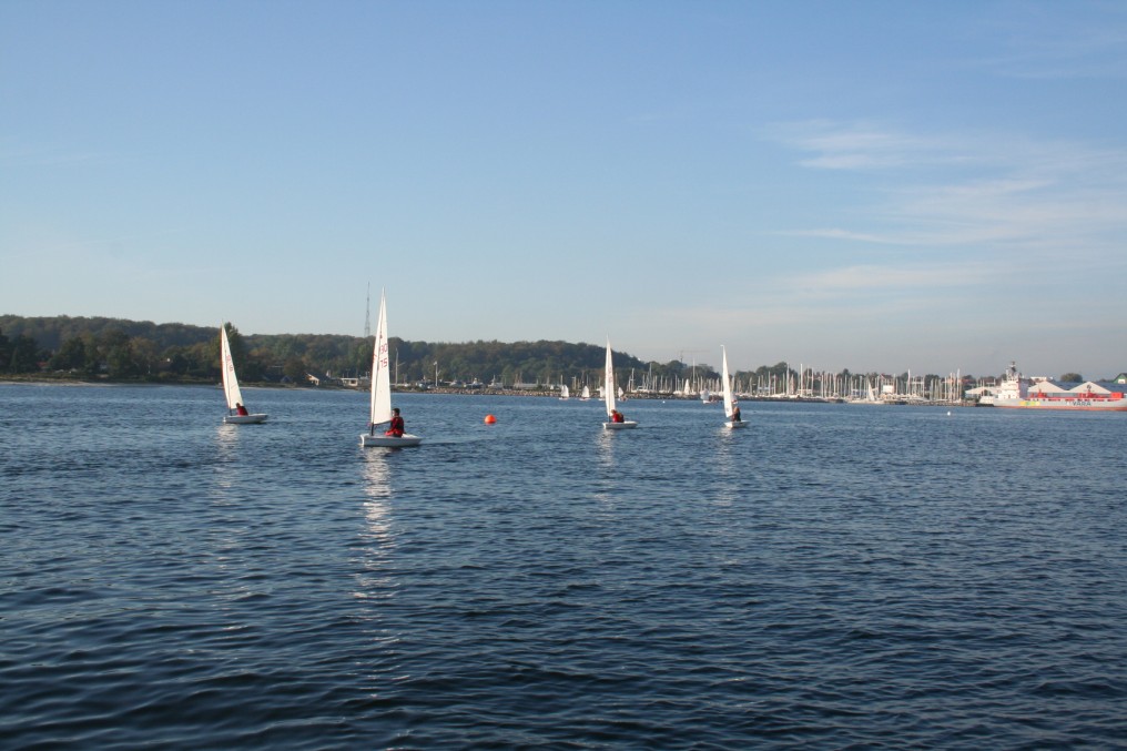 Vis IMG_1554.jpg i fuld st�rrelse