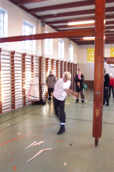 Vis 20080203-113815.jpg i fuld st�rrelse