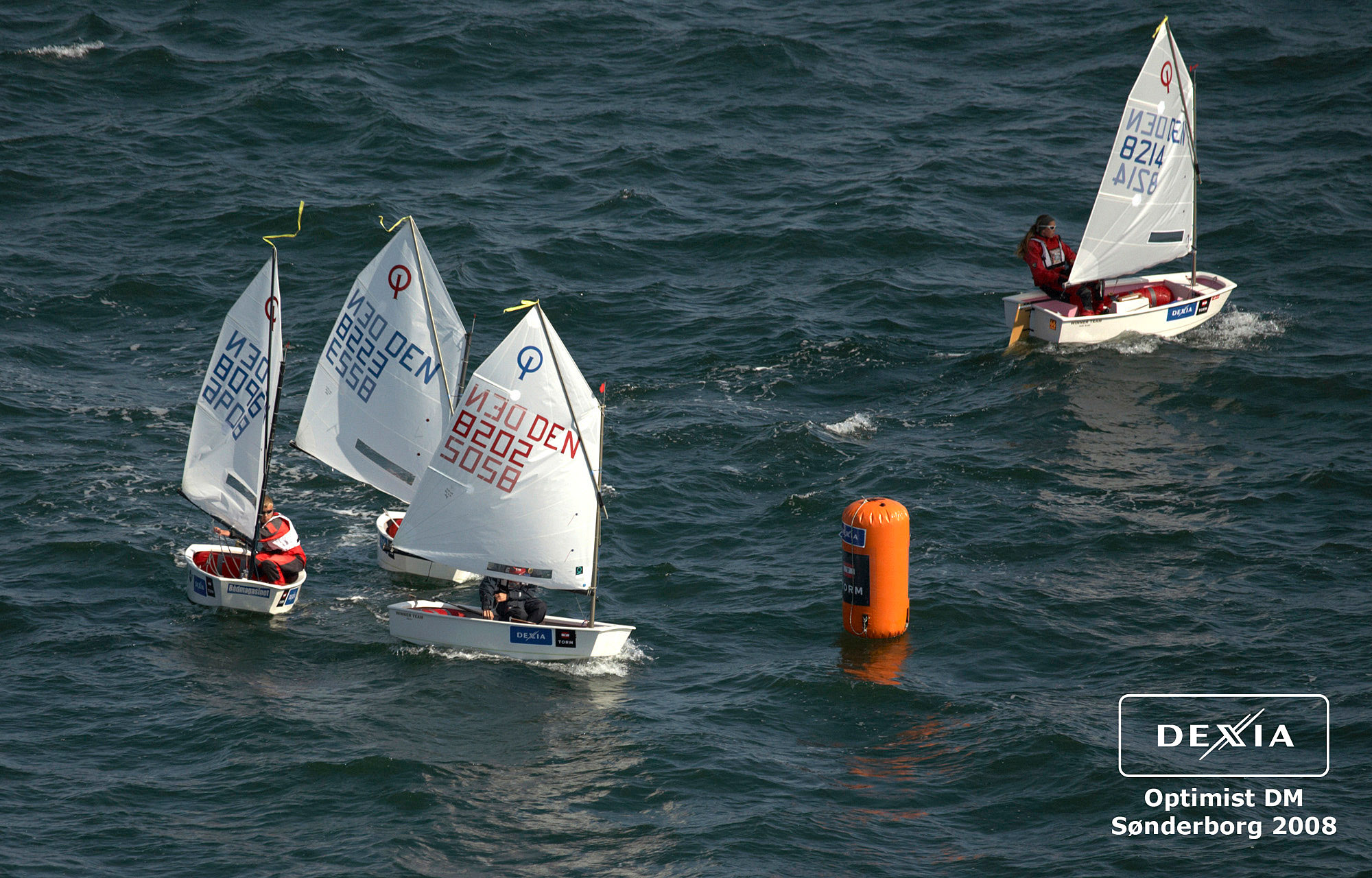 Vis Dexia_Opti_DM_053_MG_0622.jpg i fuld st�rrelse