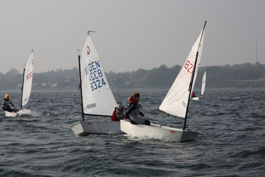 Vis IMG_2939.JPG i fuld st�rrelse