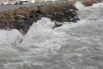 20101002 114249.jpg