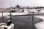 20101218 100348.jpg