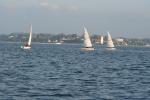 IMG_1557.jpg