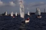 Se album: Optimist C