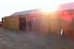 20110129 103143.jpg