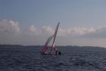 Se album: 29er