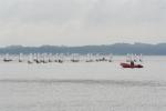IMG_7535.JPG