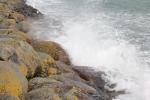 20101002 113935.jpg
