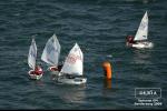 Dexia_Opti_DM_054_MG_0623.jpg