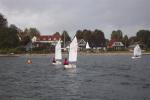 20061007-114702.jpg