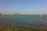 20090524-092644.jpg