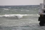 20101002 114427.jpg
