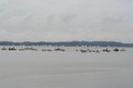 IMG_7546.JPG