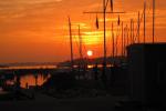 Billede 204.jpg