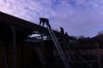 20110123 110828.jpg