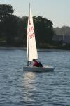 IMG_1555.jpg