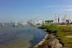 20090524-092751.jpg