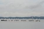 IMG_7542.JPG