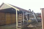 20110123 110814.jpg